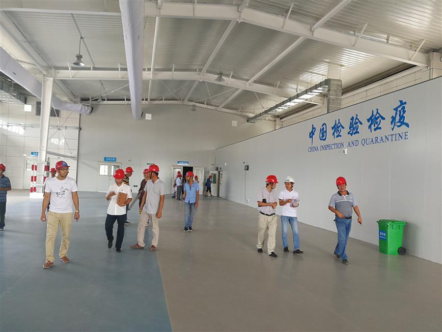IM(股份有限公司)电竞-电子竞技平台