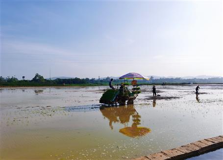 千亩“瘦地”变“肥田”丨石碑坪“旱改水”项目出成效，，，，，助力乡村振兴